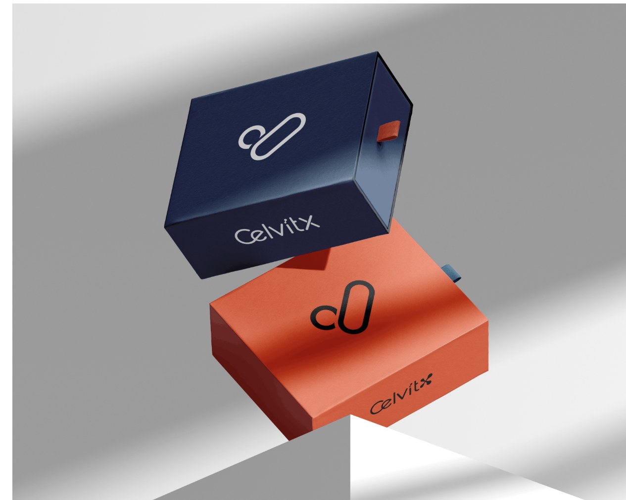 Celvitx packaging boxes